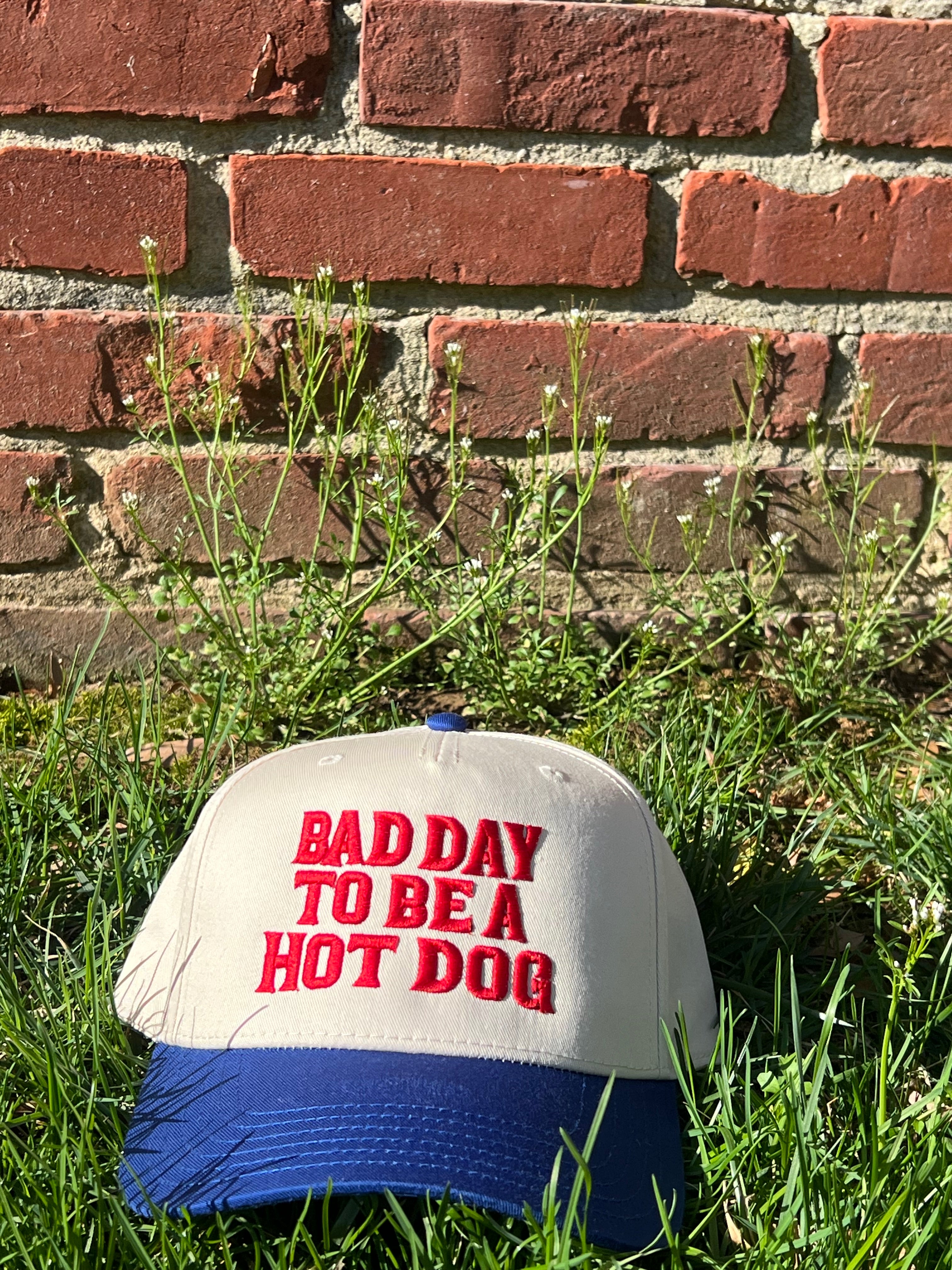 Bad Day to be a Hot Dog Snapback
